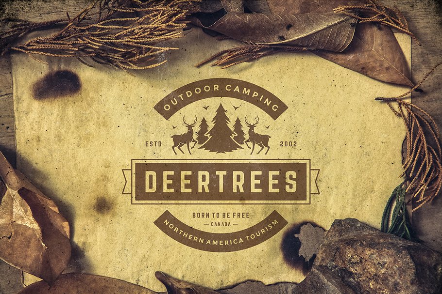 280个户外品牌Logo标志和徽章模板 280 Outdoor logos and badges插图(26)