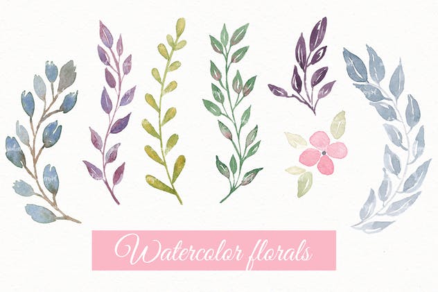 30款花卉&叶子水彩插画合集 Floral Watercolor Collection插图(2)