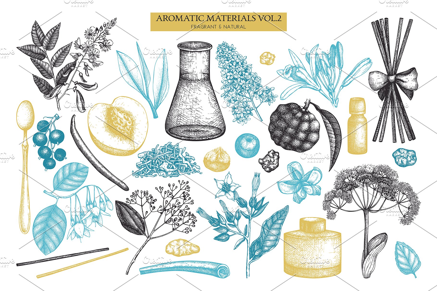 香料和化妆品成分水墨手绘插图集V.2 Perfumery & Cosmetic Ingredients v.2插图(1)