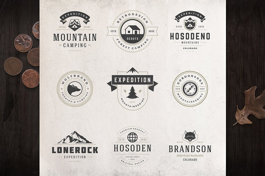 280个户外品牌Logo标志和徽章模板 280 Outdoor logos and badges插图(15)