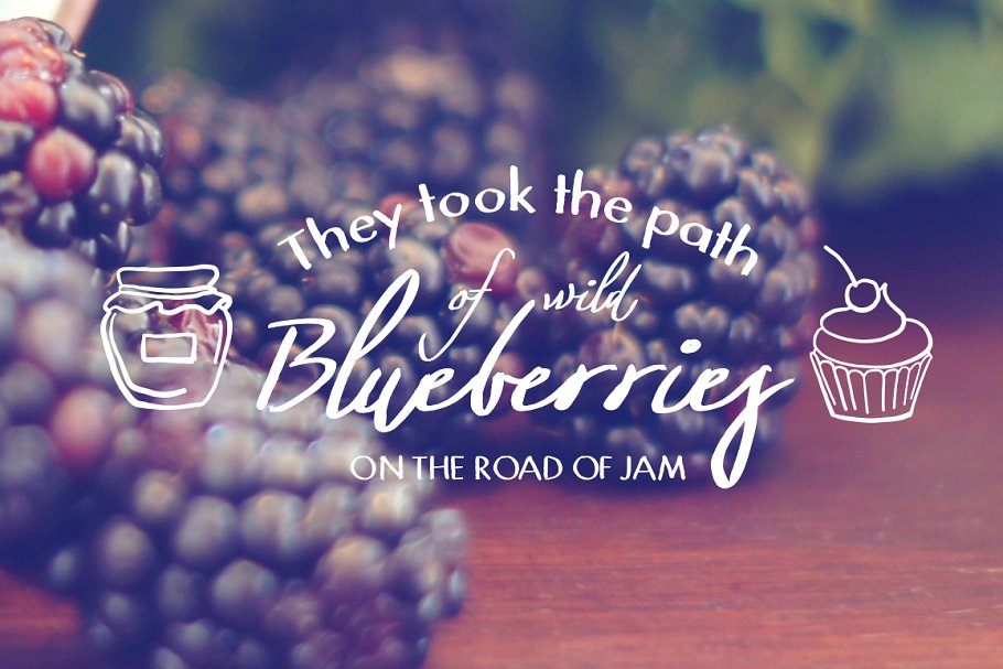 13款手写英文字体合集&Logo模板、矢量插画 Wonderland Fonts Pack & Branding Kit插图(39)