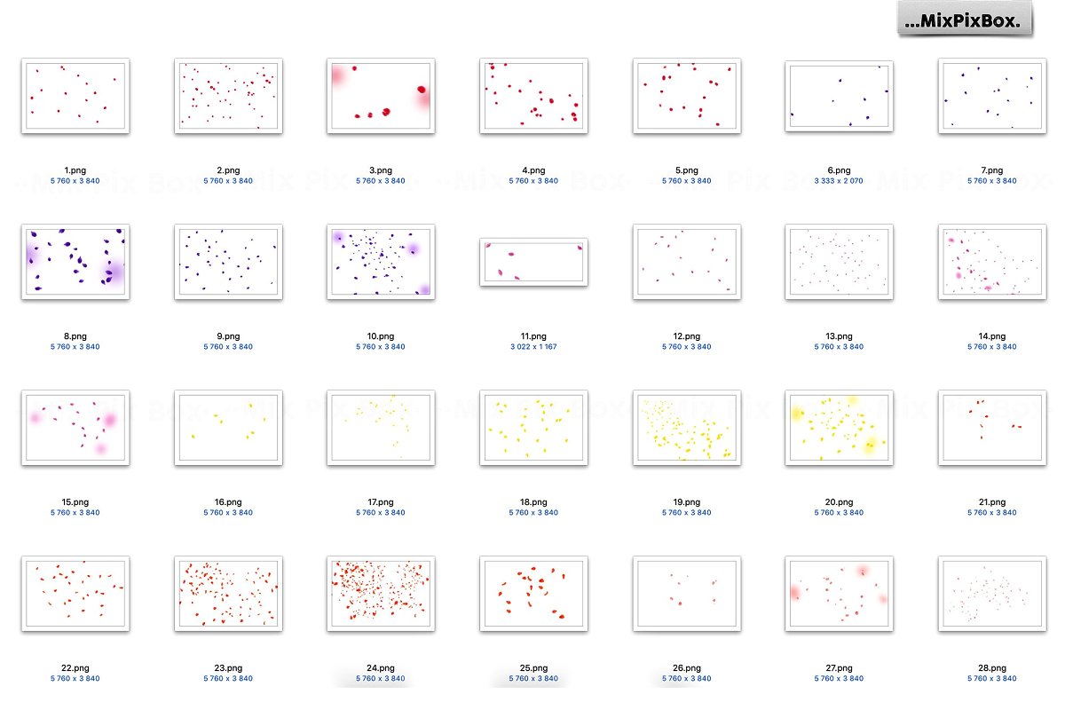 花瓣照片特效叠层插图(5)
