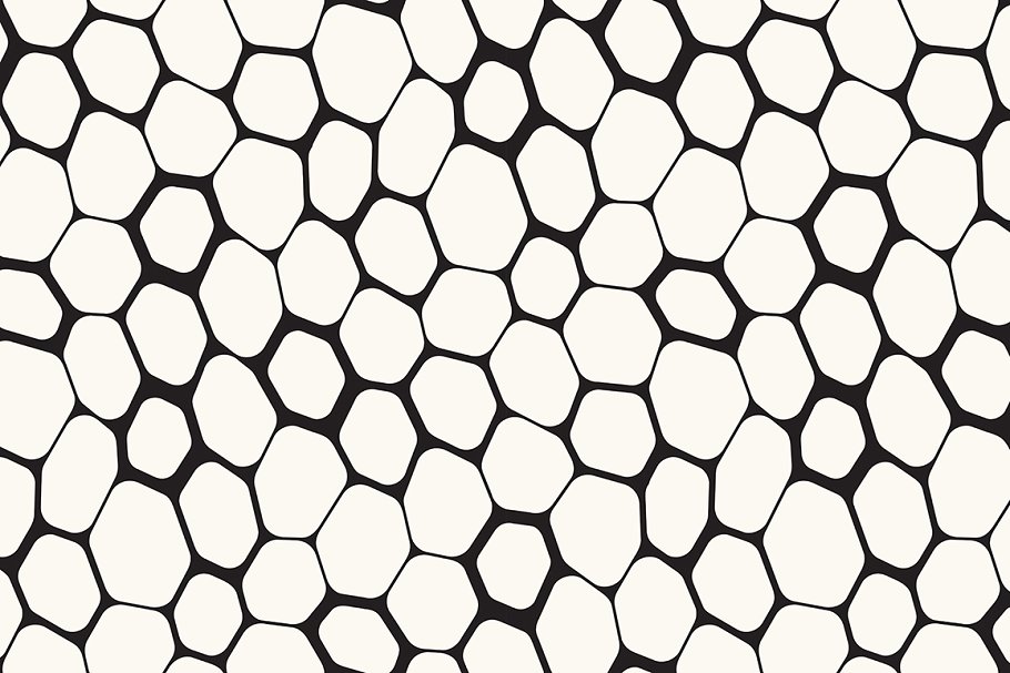 自然规则图案无缝纹理 Natural Seamless Patterns Set 2插图(1)