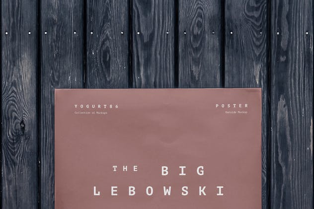 红砖墙海报张贴效果展示样机模板 Urban Poster Mock-up插图(9)