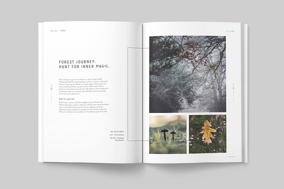 太空大自然主题杂志模板 LUMINA Magazine插图(8)