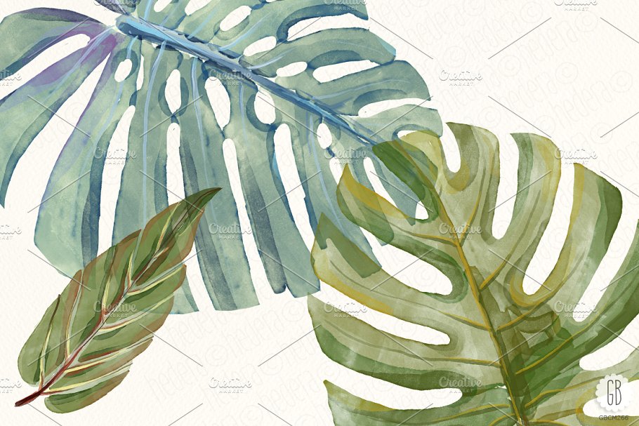 水彩芙蓉花花卉元素 Watercolor hibiscus flower monstera插图(3)