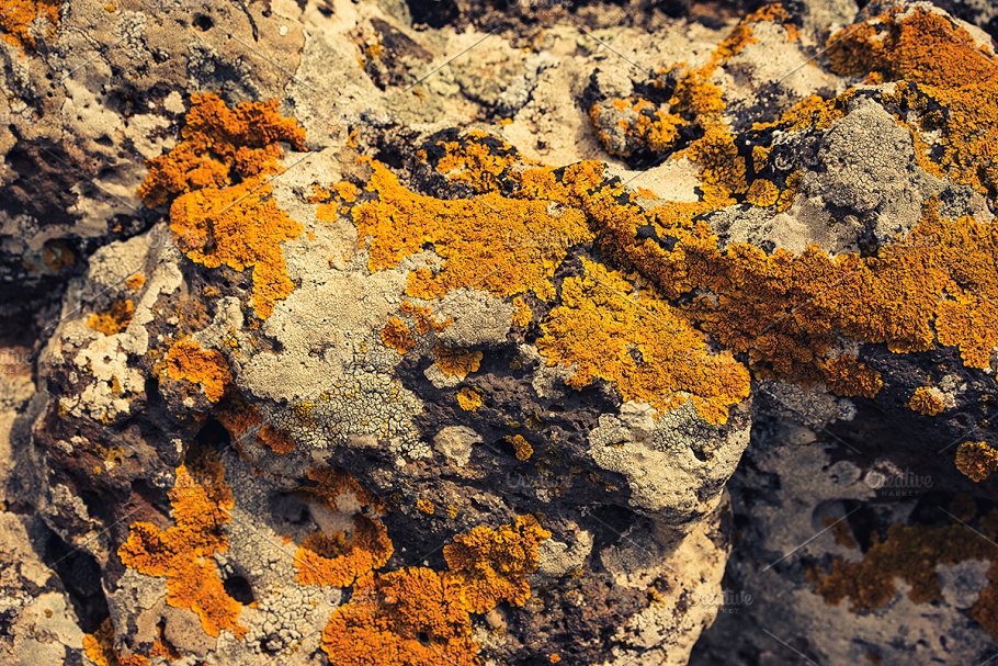 高清自然真实岩石石头照片素材 Rock Solid – Rock & Stone Collection插图(18)