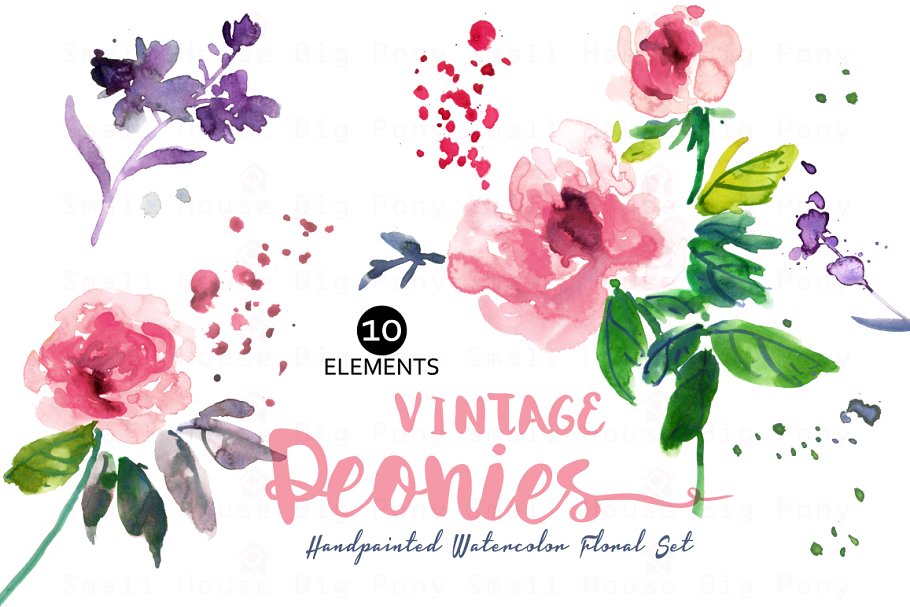 特色复古水彩牡丹剪贴插画素材合集 Vintage Peonies- Watercolor Clip Art插图(2)