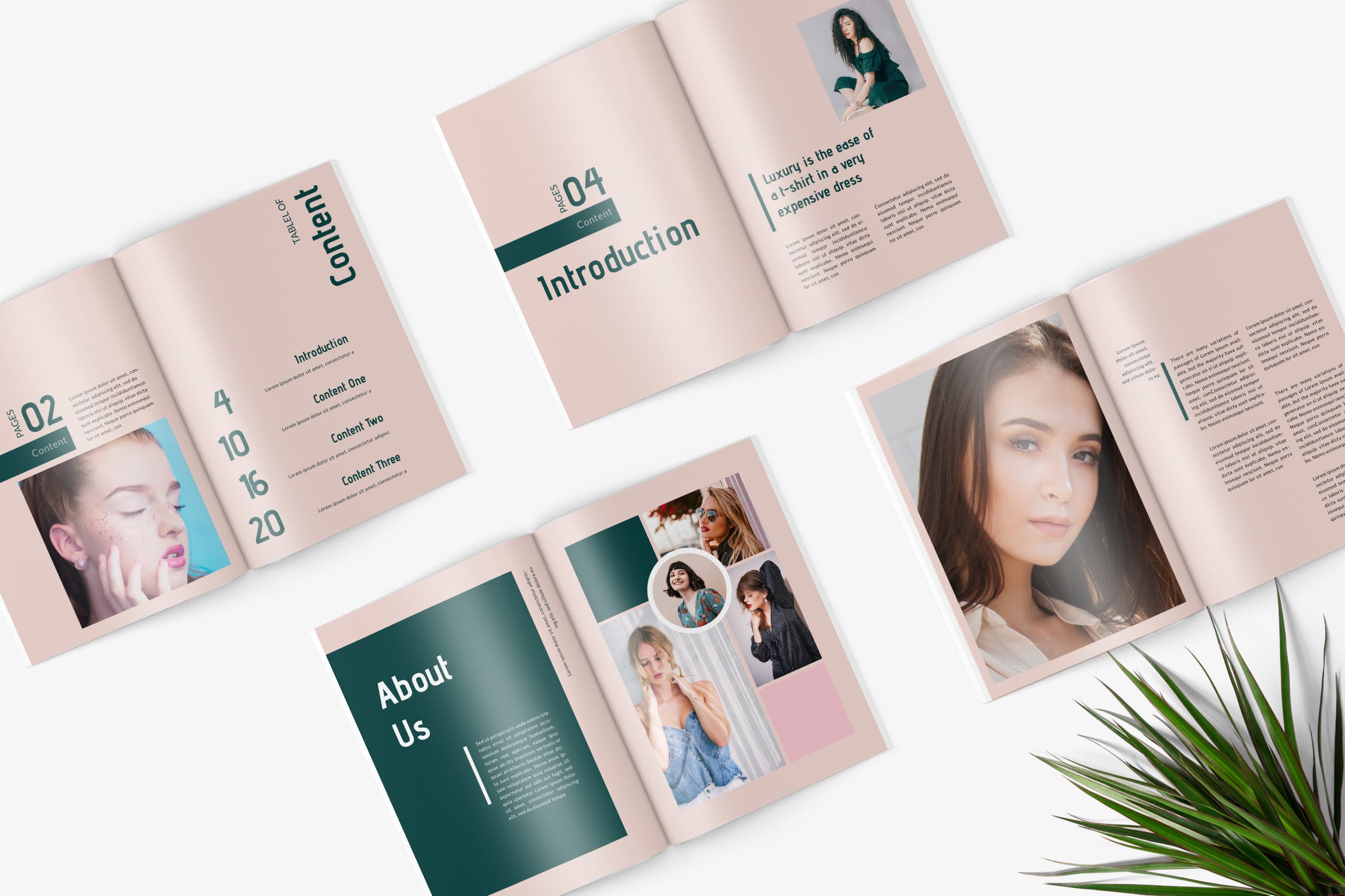 时尚服饰品牌产品素材库精选目录设计模板 Candyturf Fashion Lookbook Catalogue插图(1)