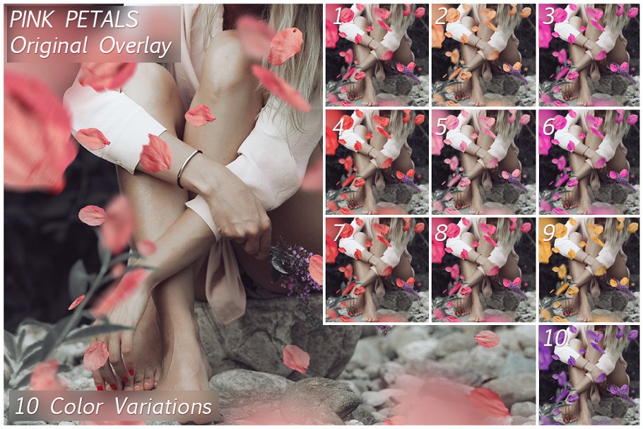 5K高清分辨率花瓣叠层覆盖层素材 5K Petals Overlays插图(6)