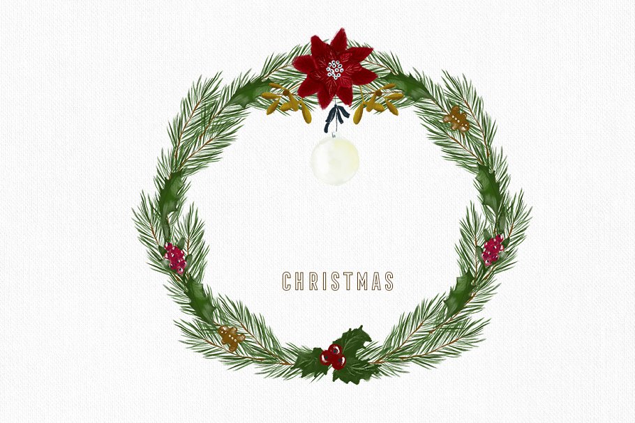 圣诞主题花卉绘画素材 Christmas Paint Illustrations插图(4)