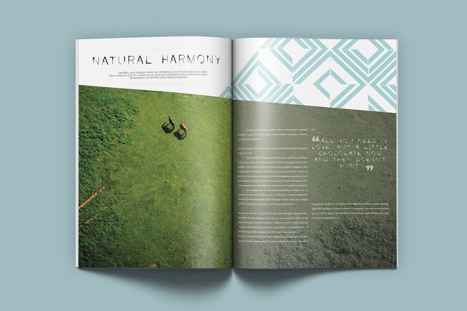 Lemo特效杂志模板 Lemo Magazine插图(11)