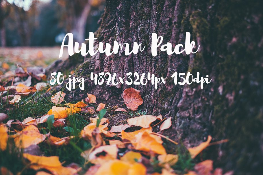 秋天主题高清风景照片素材 Autumn photo Pack插图(6)