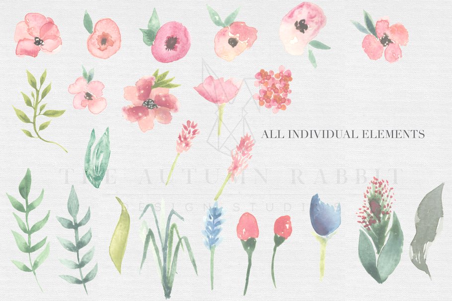 英伦花园花卉水彩剪贴画 English Garden Watercolor clipart插图(1)