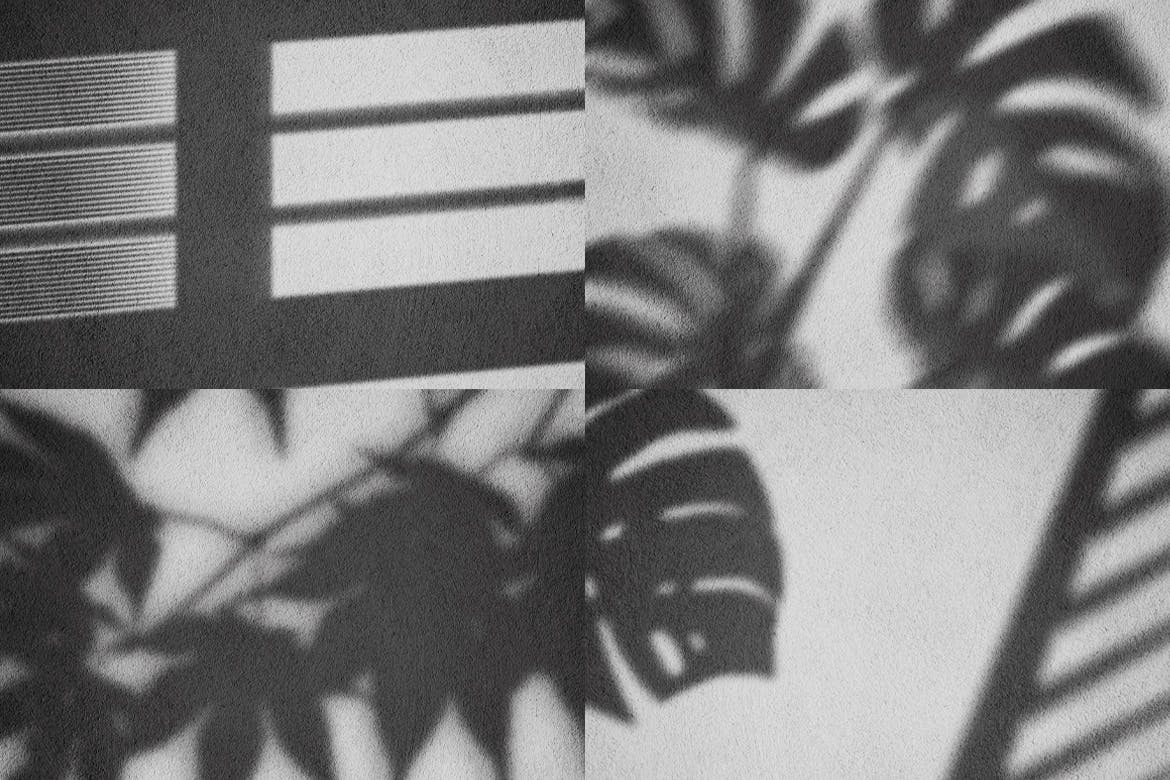 逼真植物阴影背景样机合集 Realistic Shadow Mock-Up Collection插图(3)