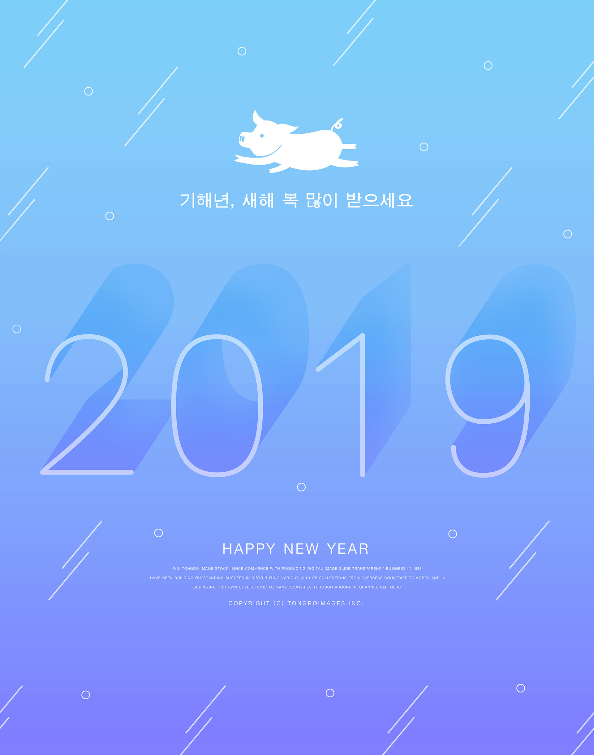 2019猪年创意图形与数字海报模板合集 PSD