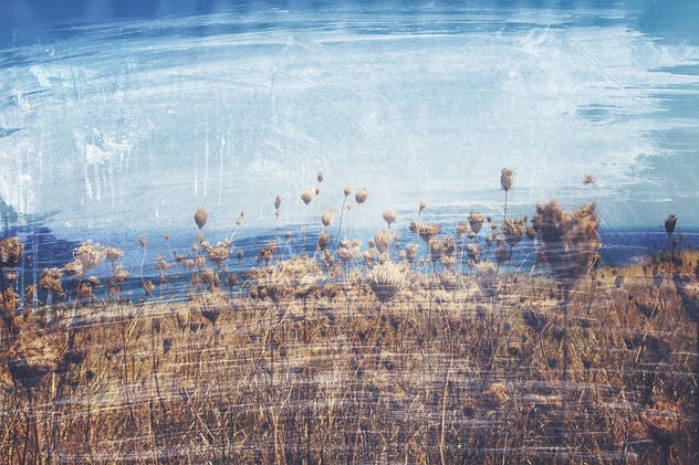 50款照片复古做旧处理纹理素材 50 Vintage Grain Textures插图(3)