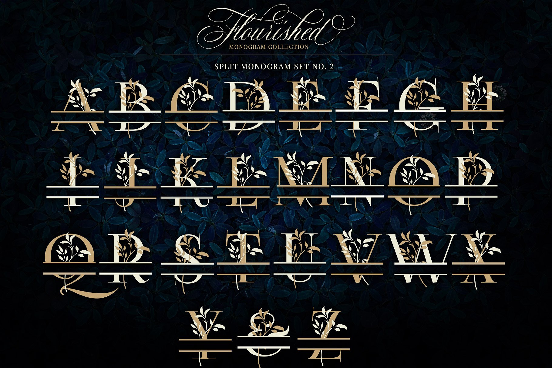 优雅手绘花卉装饰字母矢量素材 Flourished Monogram Collection插图(5)