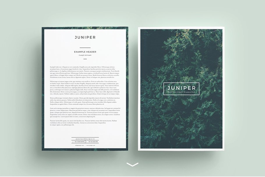 漂亮的多用途信笺模板 J U N I P E R  Letterhead + Comps插图(1)