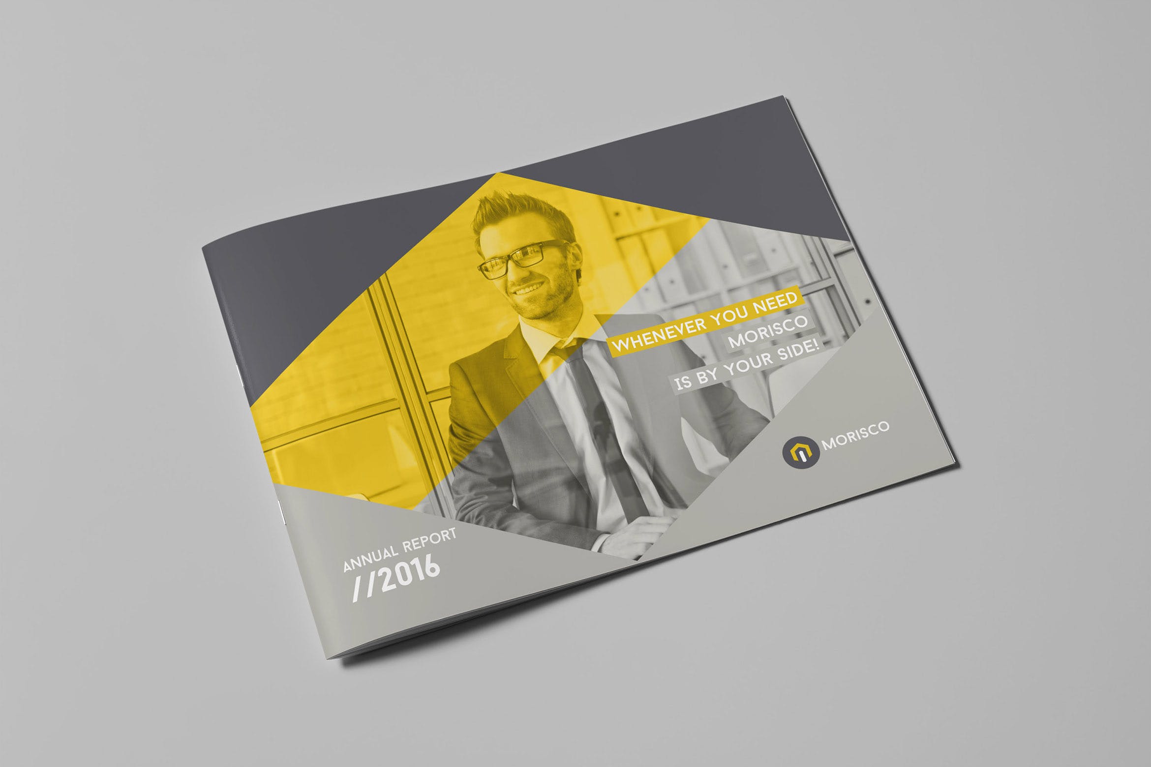 企业年度报告横版设计模板 Annual Report 2016/2017 – Landscape插图