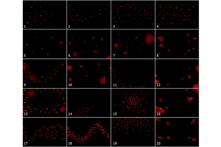 5K高清分辨率红色玫瑰花瓣叠层背景 5K Red Rose Petals Overlays插图(5)