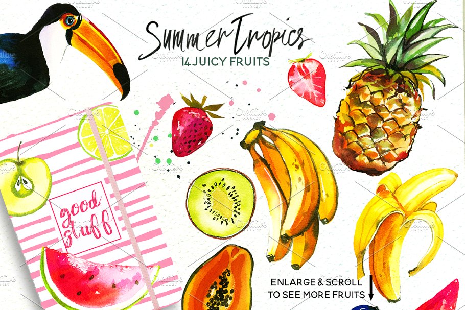 热带水彩花卉超级素材包[1.92GB] Tropic Watercolor Flowers & Animals插图(7)