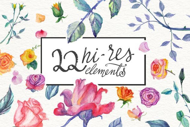 高分辨率水彩玫瑰DIY插画设计套装 Watercolor Roses DIY pack插图(1)