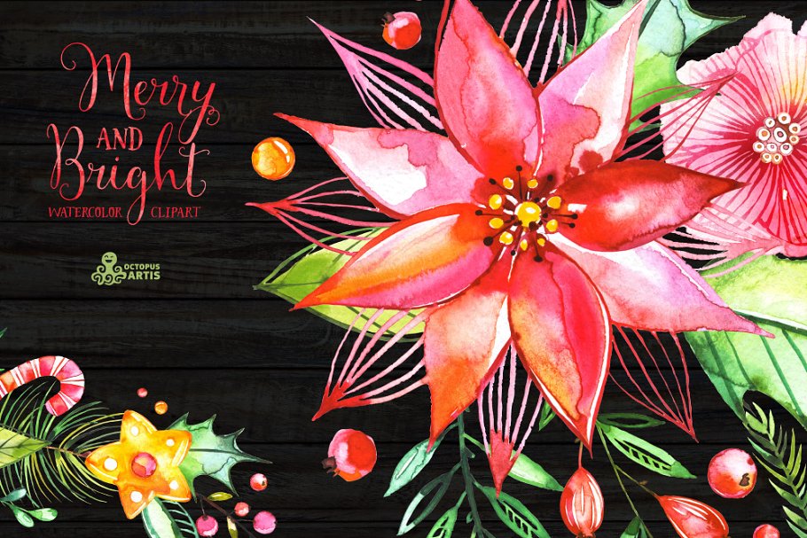 欢快明亮水彩花卉插画 Merry And Bright. Watercolor插图(2)