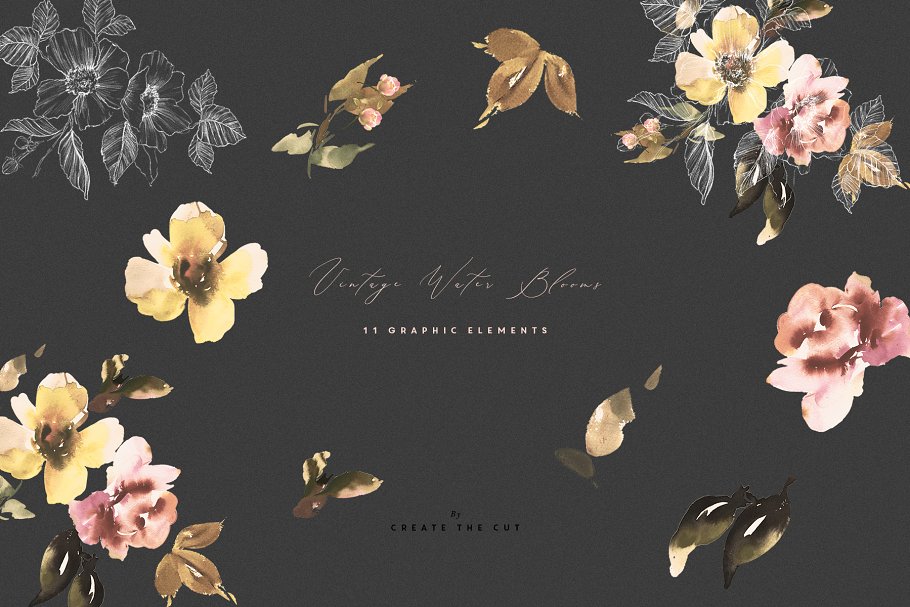 柔和优雅的水墨花朵矢量插画系列 Vintage Water Blooms插图(4)