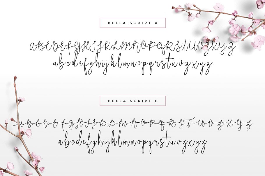 13款手写英文字体合集&Logo模板、矢量插画 Wonderland Fonts Pack & Branding Kit插图(72)