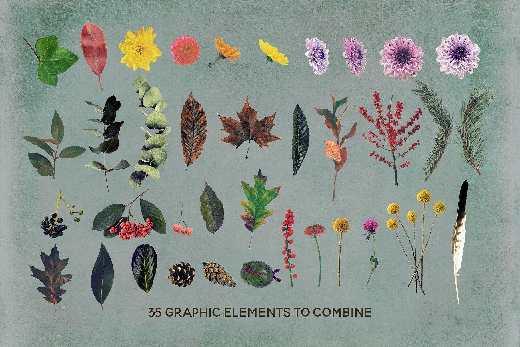 复古风格浪漫花集剪贴画集 Florigen Vintage Style Clip Art Set插图(2)