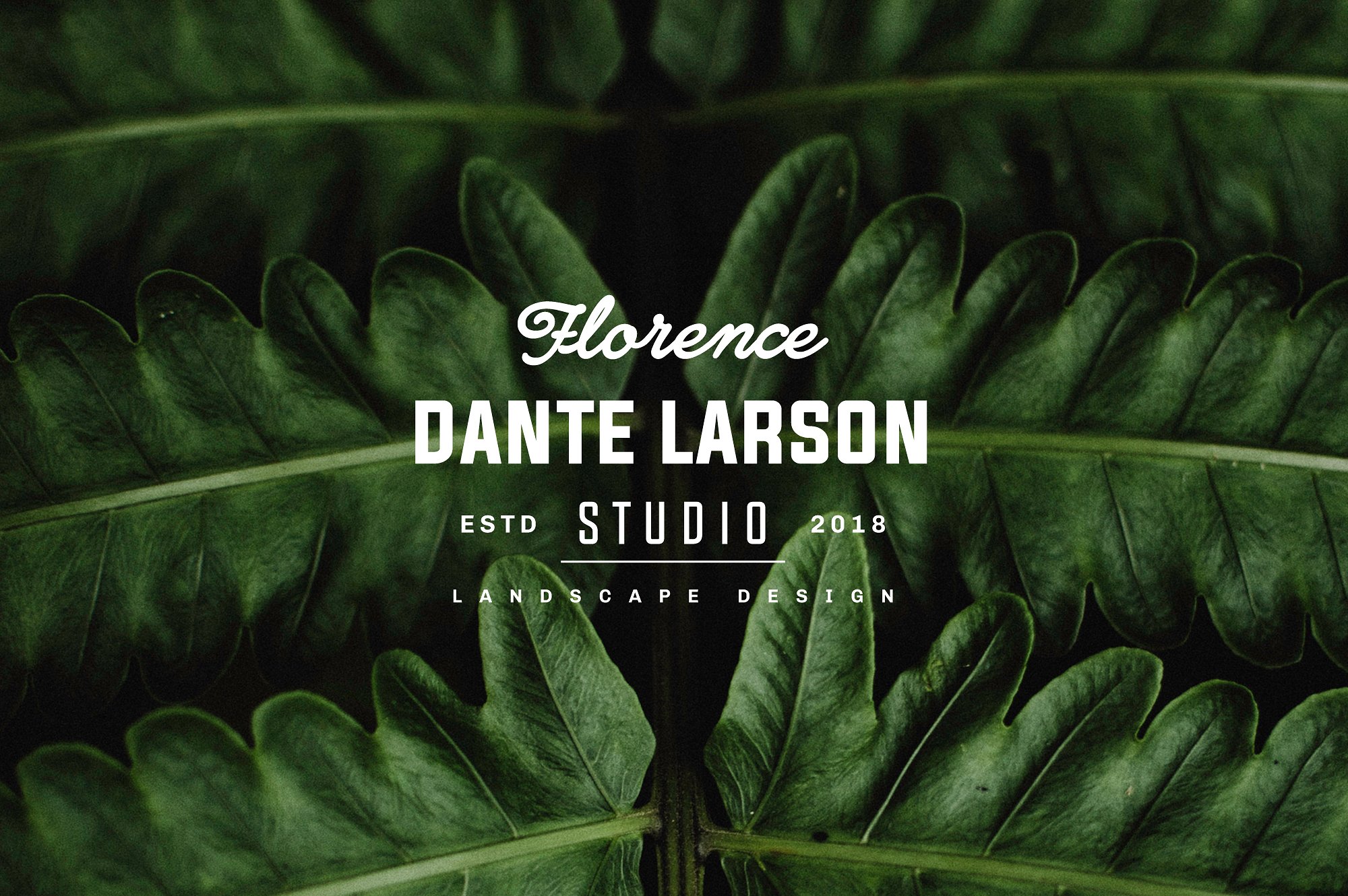 复古徽标&Logo设计模板 Vintage Badges and Logos Bundle V01插图(8)