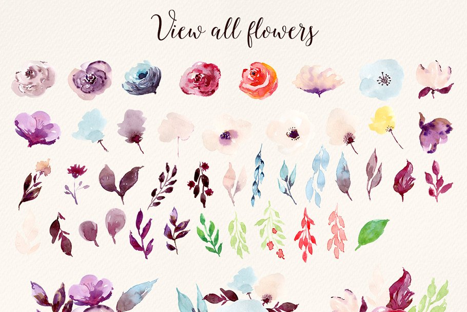 冷色调水彩花卉剪贴画 Cold Colors Flowers插图(2)