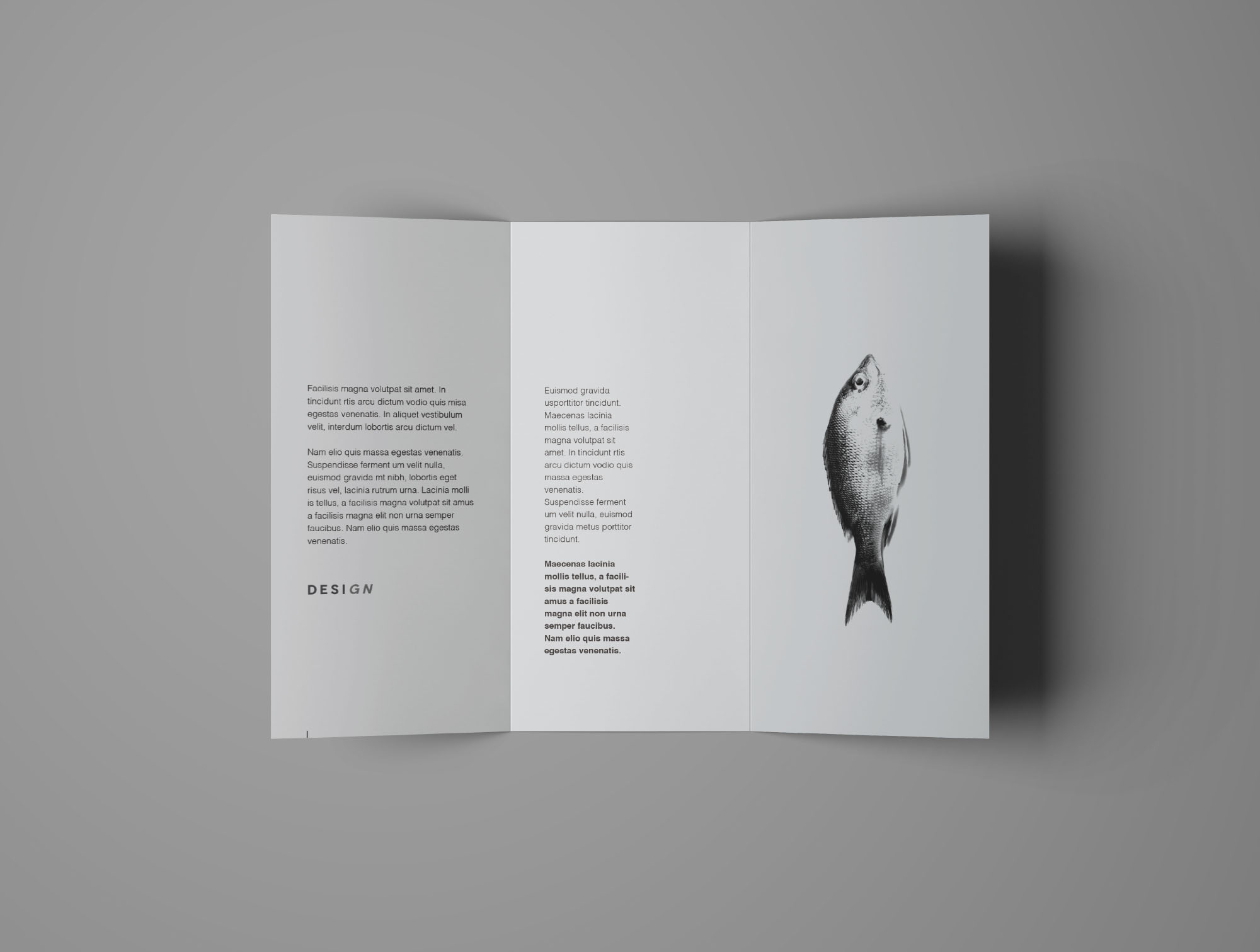 高级企业简介三折页宣传册样机插图(1)