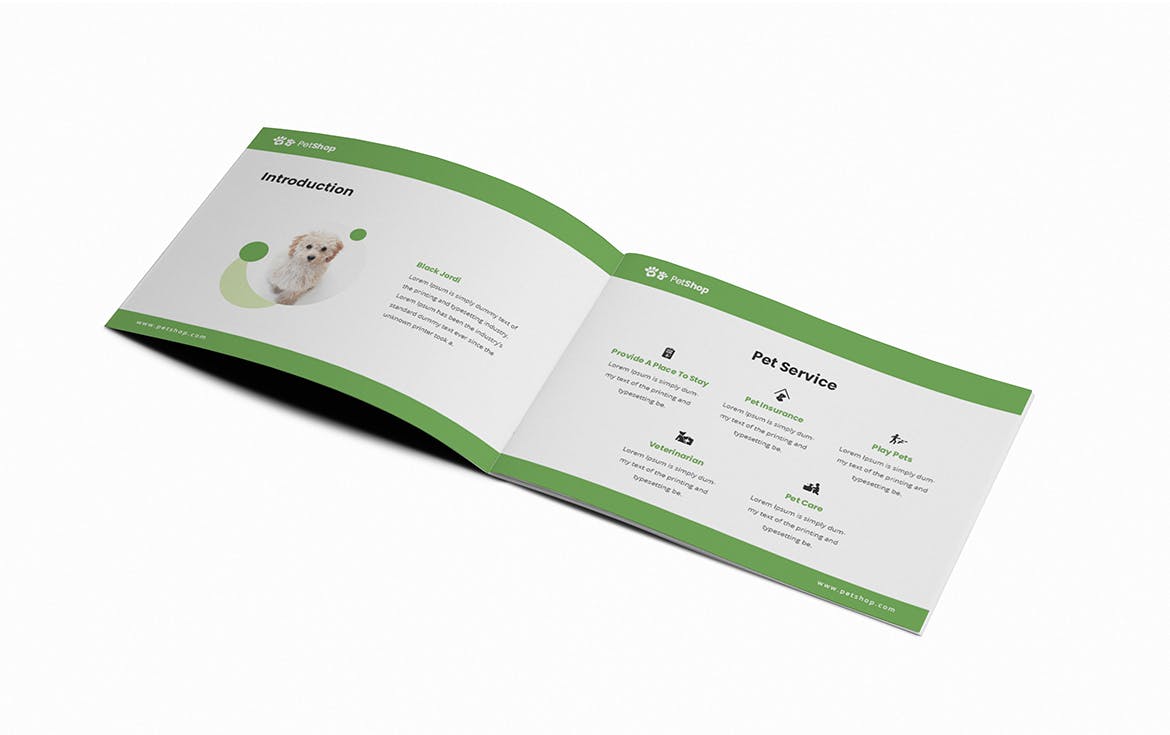 宠物店/宠物医院A5宣传册设计模板 Pet Shop A5 Brochure Template插图(3)