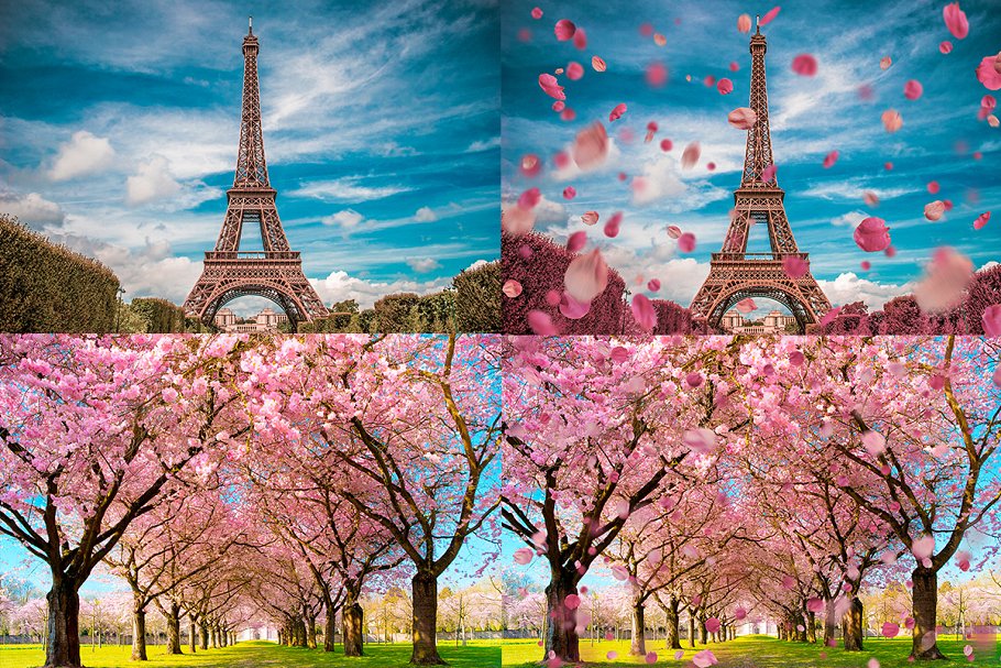 5K高清分辨率花瓣叠层覆盖层素材 5K Petals Overlays插图(8)