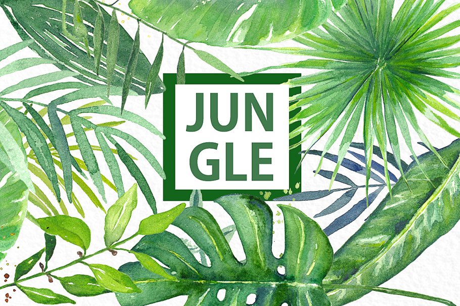 热带树叶树枝水彩画 Tropical leaves branches watercolors插图(4)