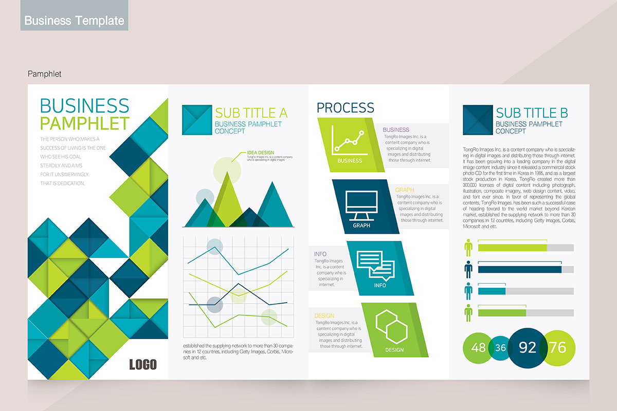 极简现代信息图表市场数据分析商业手册模板插图