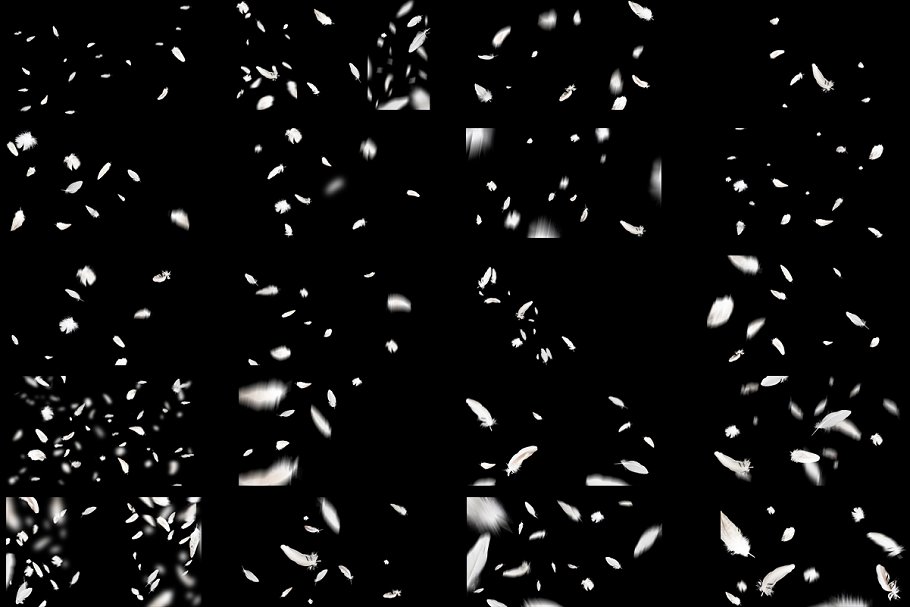5K高清分辨率羽毛叠层背景 5K Feathers Overlays插图(2)