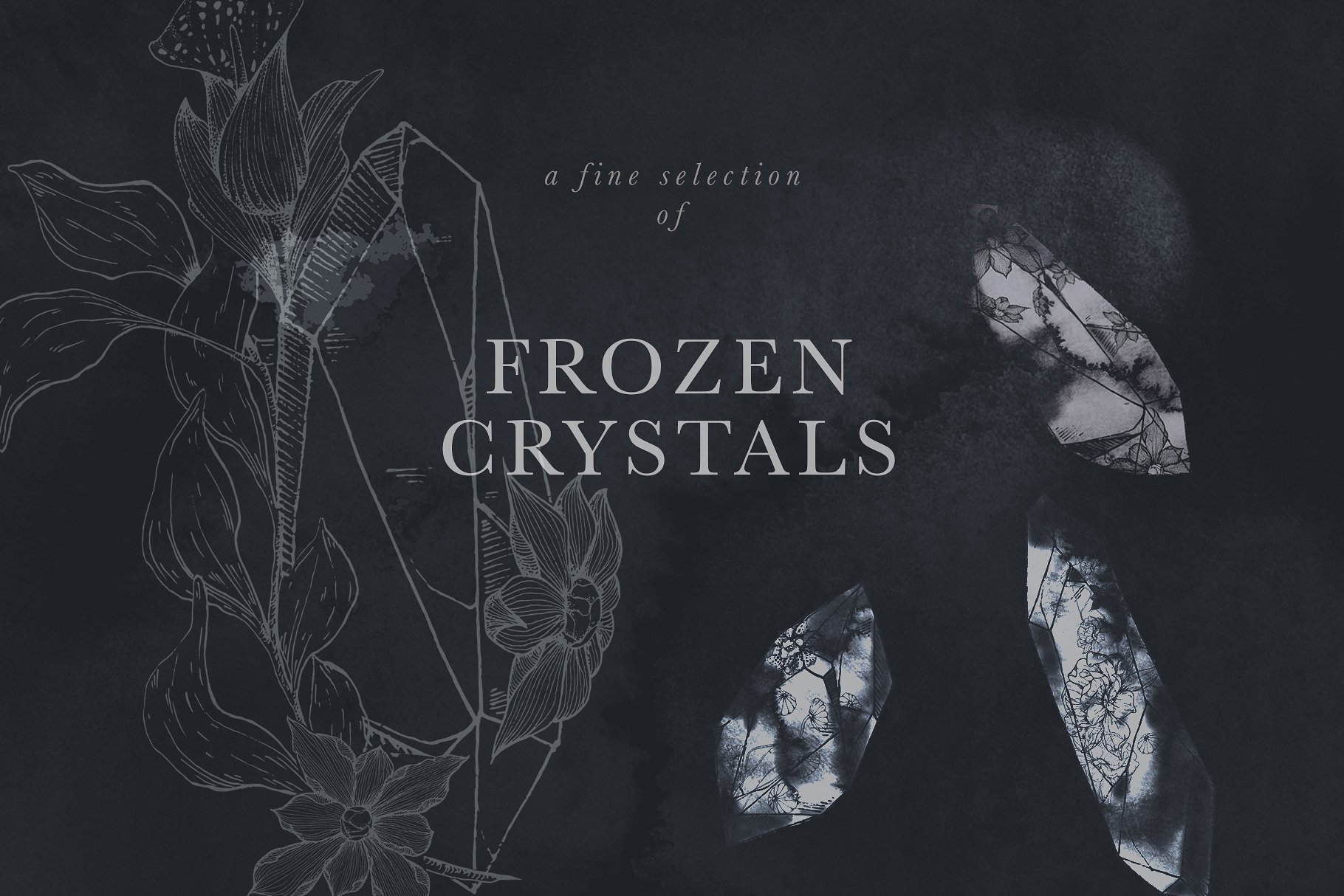 虚实结合黑色背景手绘矢量花卉图形素材 Black Orchid Illustration Set插图(8)