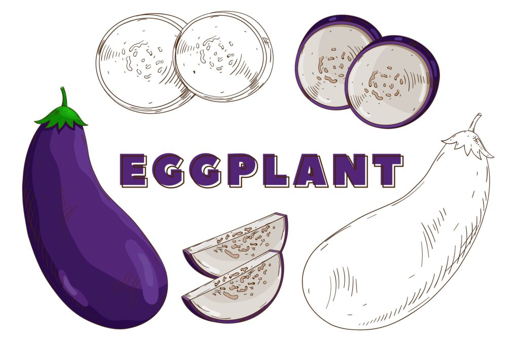 复古风格手绘矢量蔬菜素材打包下载[ai,psd,eps,png,jpg]插图(8)