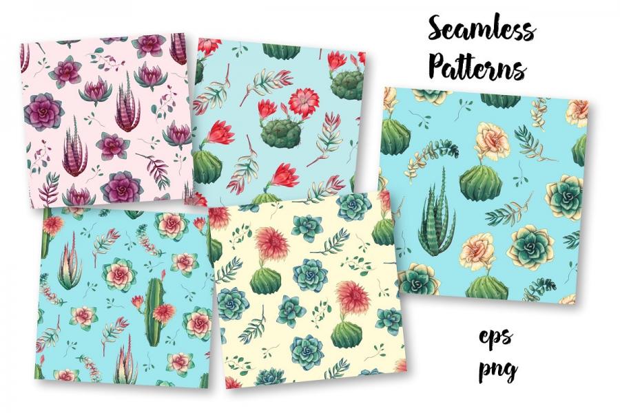 紫色的仙人掌和肉质植物矢量剪贴画插图(6)