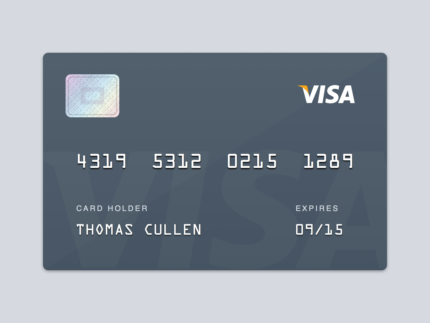 Visa Card