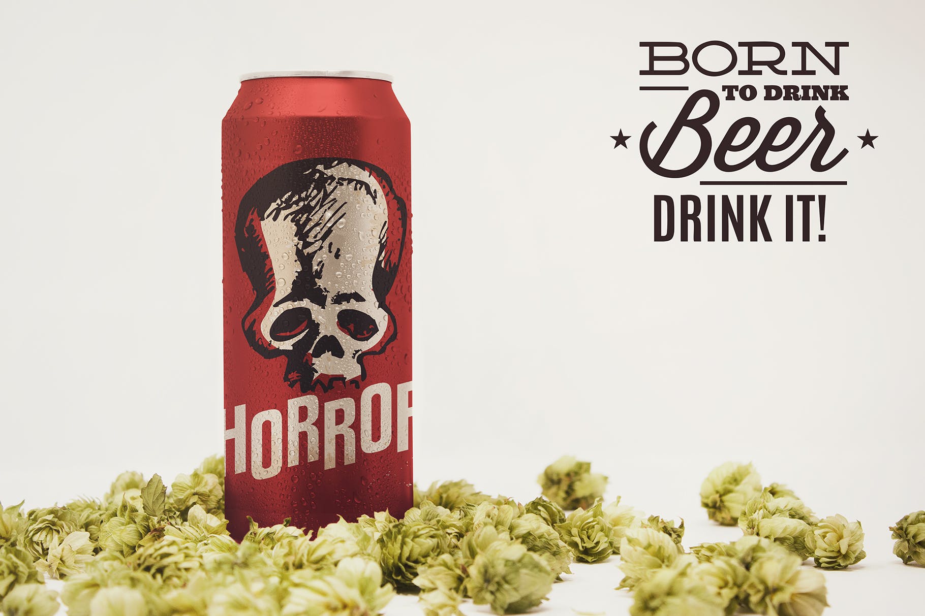 16oz啤酒罐易拉罐外观设计前视图素材库精选 Front 16oz Beer Can Mockup插图(1)