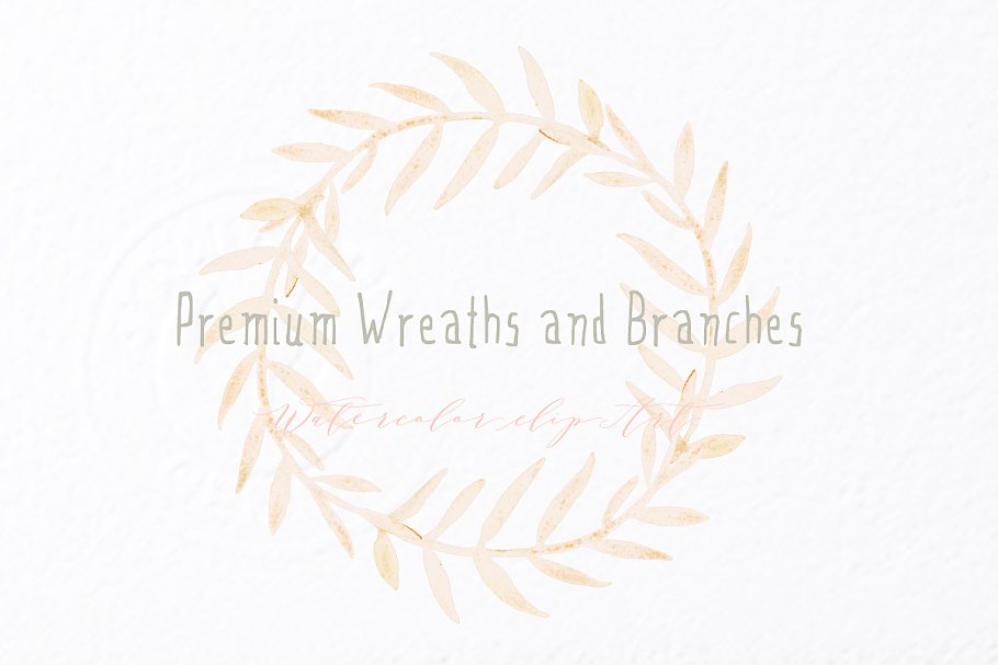 高级花环剪枝水彩剪贴画 Premium wreaths and branches clipart插图(3)