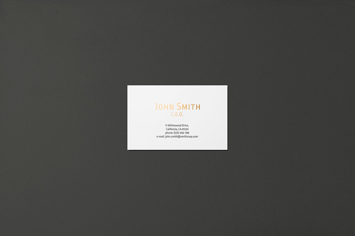 高端企业名片设计效果图素材库精选套装 8.5×5.5cm Landscape Business Card Mockup插图(1)