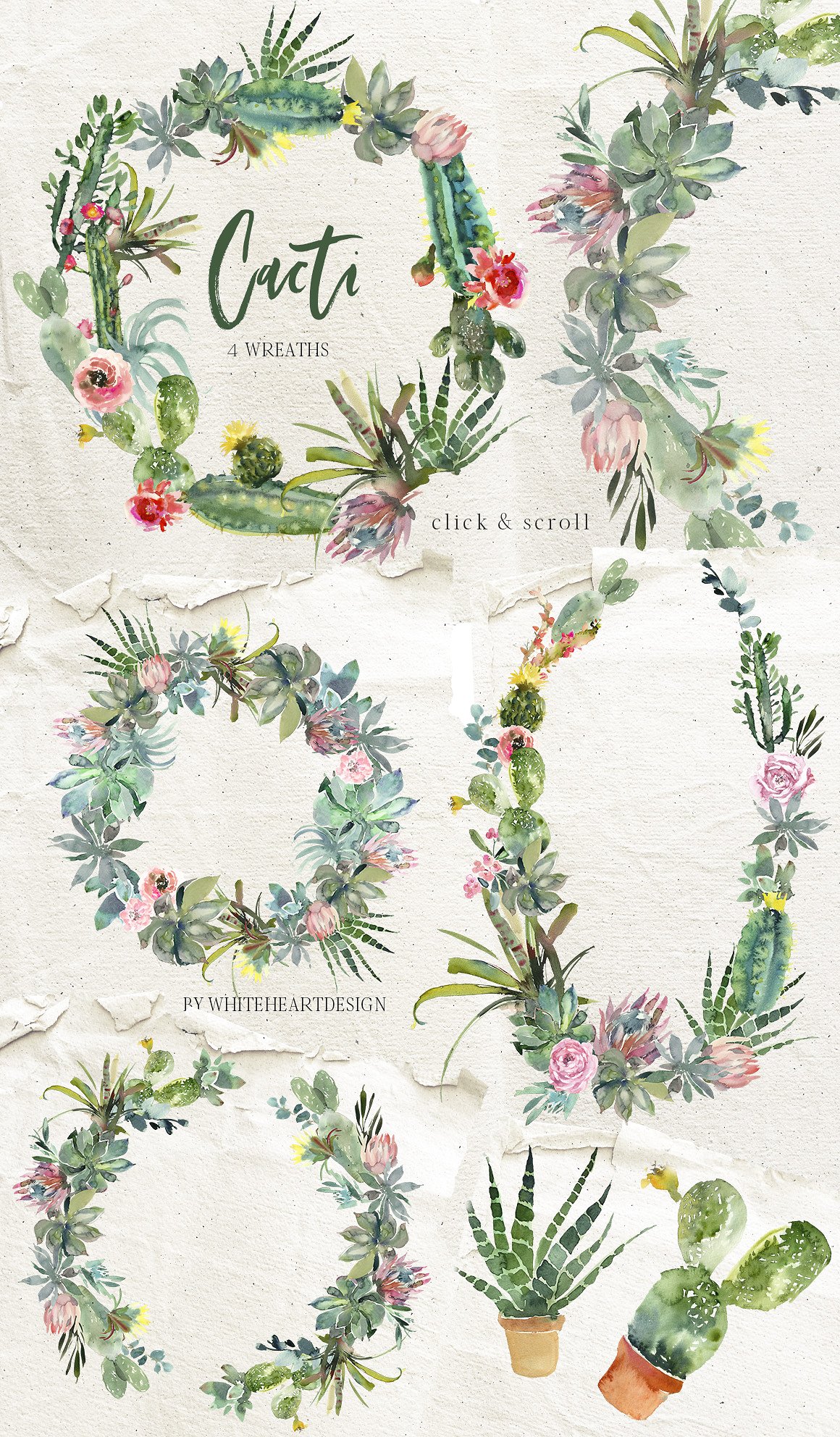 仙人掌水彩剪贴画 Cacti Watercolor Cactuses Clipart插图(2)