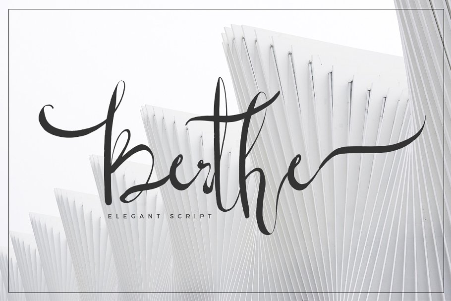 13款手写英文字体合集&Logo模板、矢量插画 Wonderland Fonts Pack & Branding Kit插图(75)