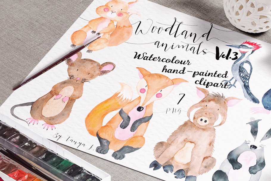 手绘水彩林地动物设计插画素材 Woodland animals Vol.3 Set插图(2)