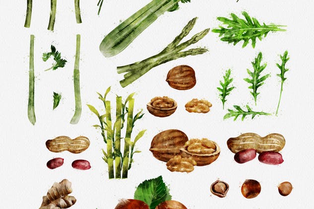 水彩水果&蔬菜插画合集 Watercolor Fruits And Vegetables插图(11)